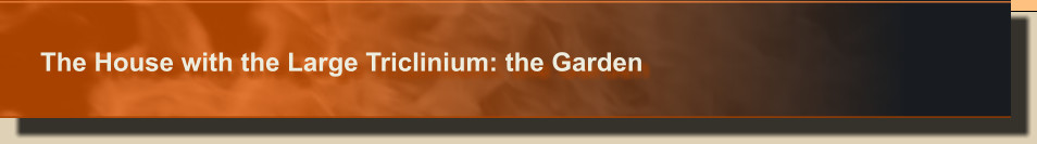 The House with the Large Triclinium: the Garden