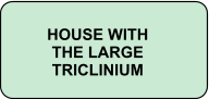 HOUSE WITH  THE LARGE TRICLINIUM