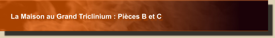 La Maison au Grand Triclinium : Pièces B et C