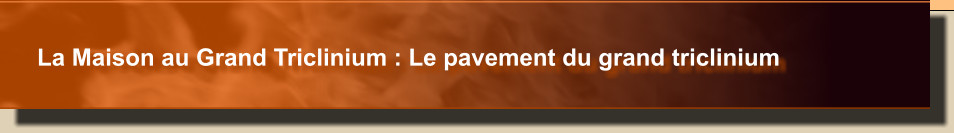 La Maison au Grand Triclinium : Le pavement du grand triclinium